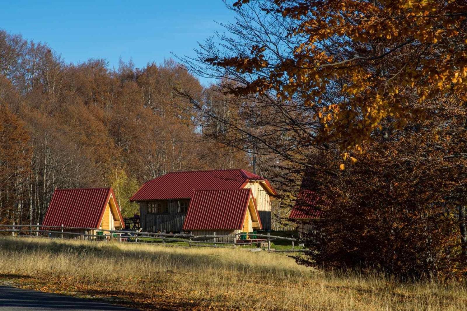 Maple Bungalows Žabljak Екстериор снимка